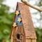Set of 2 12.5''H Patriotic Distressed Solid Wood Single-Family Decorative Outdoor Garden Birdhouse with 3D Stars